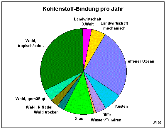 Kohlenstoff-Bindung pro Jahr (19478 Byte)